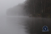 20111118_DIMG1187_802x534.jpg