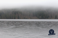 20111121_DIMG1323_802x533.jpg
