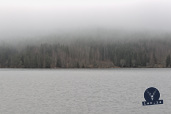 20111121_DIMG1334_802x533.jpg