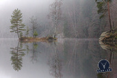 20111121_DIMG1555_802x534.jpg