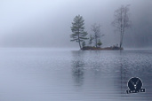20111122_DIMG1716_802x534.jpg